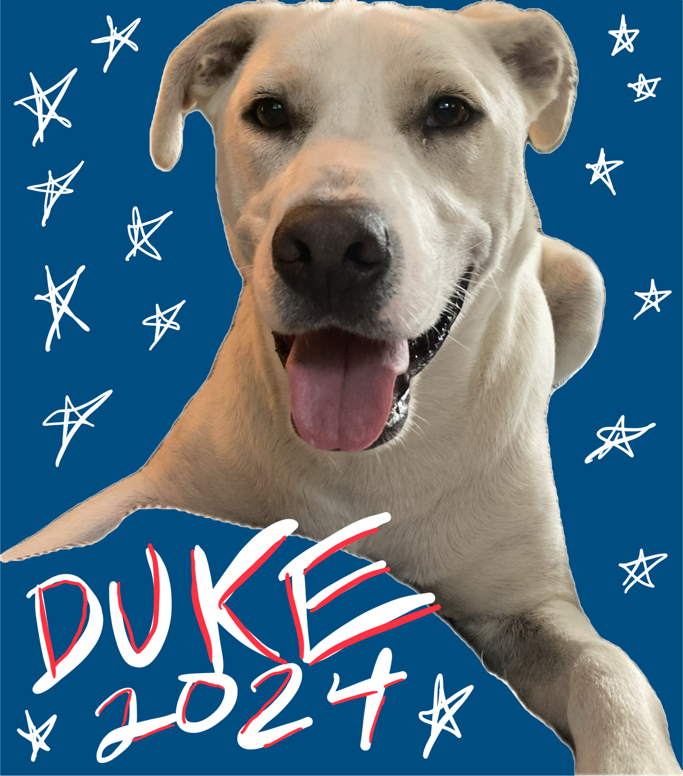 Duke for President